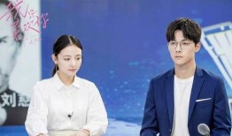 独家爆料喜相迎酒店 明星娱乐新闻,明星云集的娱乐盛宴幕后故事